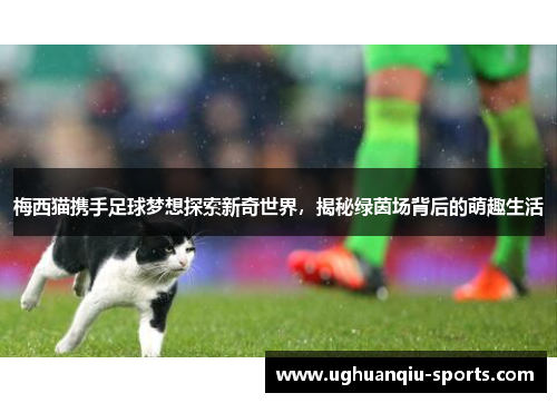 梅西猫携手足球梦想探索新奇世界，揭秘绿茵场背后的萌趣生活